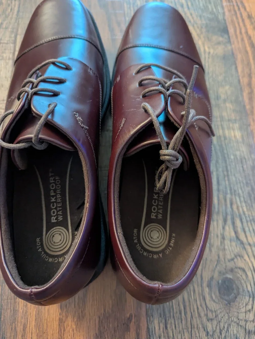 NWOB Rockport ELLINGWOOD Waterproof Dress Shoe Sz.14